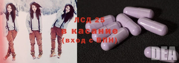 PSILOCYBIN Алзамай