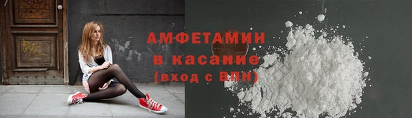 PSILOCYBIN Алзамай