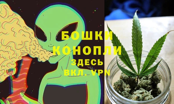 PSILOCYBIN Алзамай