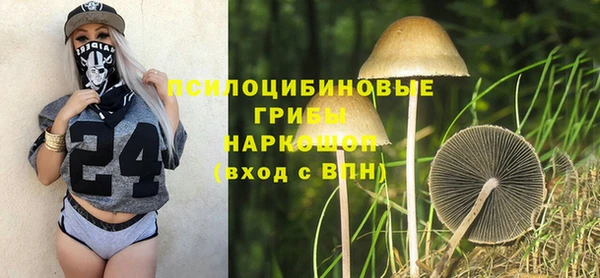 PSILOCYBIN Алзамай