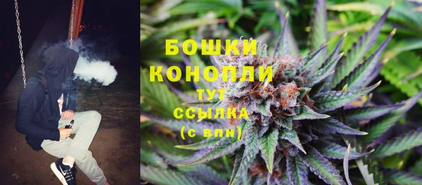 PSILOCYBIN Алзамай