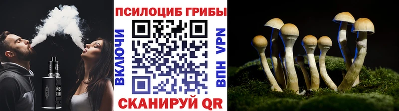 Псилоцибиновые грибы Magic Shrooms  где купить наркоту  Нефтекамск 